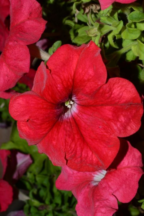 Fotografia de Mario.C - Galeria Fotografica: Mi book - Foto: 