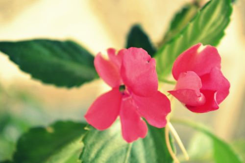 Fotografia de Mario.C - Galeria Fotografica: Mi book - Foto: 