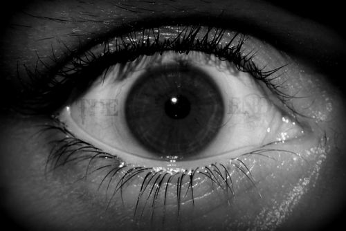 Fotografia de Mario.C - Galeria Fotografica: Mi book - Foto: 