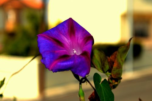 Fotografia de Mario.C - Galeria Fotografica: Mi book - Foto: 