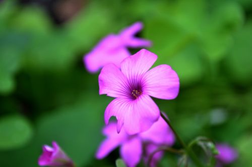 Fotografia de Mario.C - Galeria Fotografica: Mi book - Foto: 
