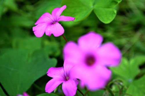 Fotografia de Mario.C - Galeria Fotografica: Mi book - Foto: 