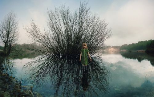 Fotografia de camara oscura galeria de arte - Galeria Fotografica: Ellen Kooi 