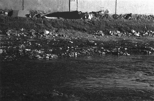 Fotografia de FOTOSCARTES - Galeria Fotografica: vida diaria - Foto: 