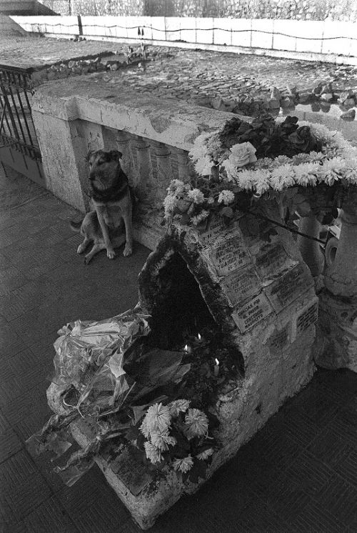 Fotografia de FOTOSCARTES - Galeria Fotografica: vida diaria - Foto: 