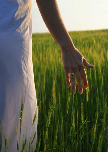 Fotografia de Akfoto - Galeria Fotografica: autor - Foto: sensaciones