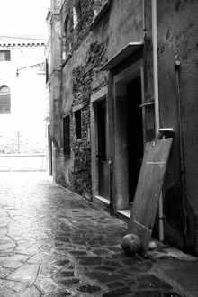 Fotografia de Jessy - Galeria Fotografica: Blanco y Negro - Foto: 