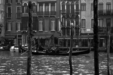 Fotografia de Jessy - Galeria Fotografica: Blanco y Negro - Foto: 