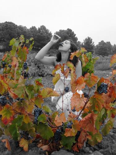 Fotografia de Akfoto - Galeria Fotografica: autor - Foto: colores de la tierra