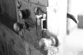 Fotografia de Llins - Galeria Fotografica: El ragalo ms bello - Foto: Antao