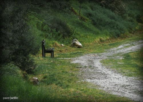 Fotografia de paco jarillo - Galeria Fotografica: enfokkes - Foto: Nadie							