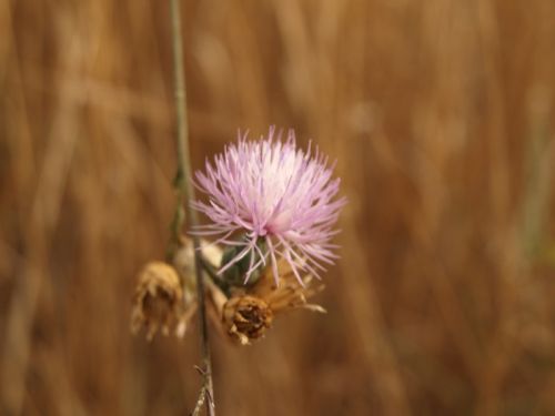 Fotografia de Ral Morales - Galeria Fotografica: Experimentando - Foto: 