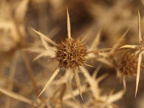 Fotografia de Ral Morales - Galeria Fotografica: Experimentando - Foto: 