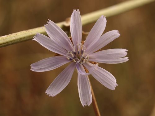 Fotografia de Ral Morales - Galeria Fotografica: Experimentando - Foto: 