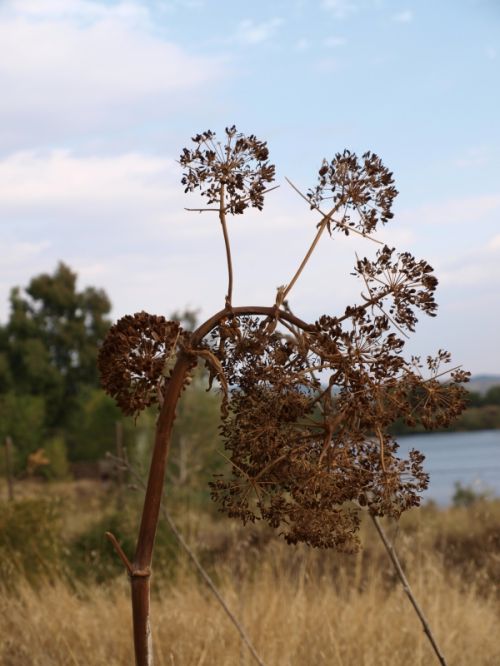 Fotografia de Ral Morales - Galeria Fotografica: Experimentando - Foto: 