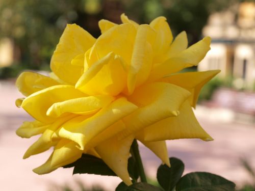 Fotografia de Ral Morales - Galeria Fotografica: Experimentando - Foto: 