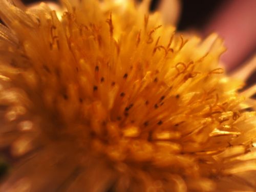 Fotografia de Ral Morales - Galeria Fotografica: Experimentando - Foto: 