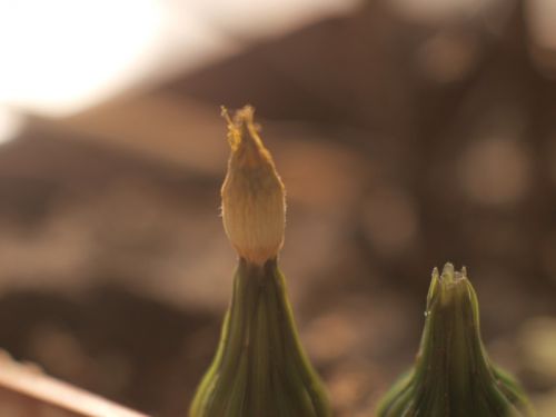 Fotografia de Ral Morales - Galeria Fotografica: Experimentando - Foto: 