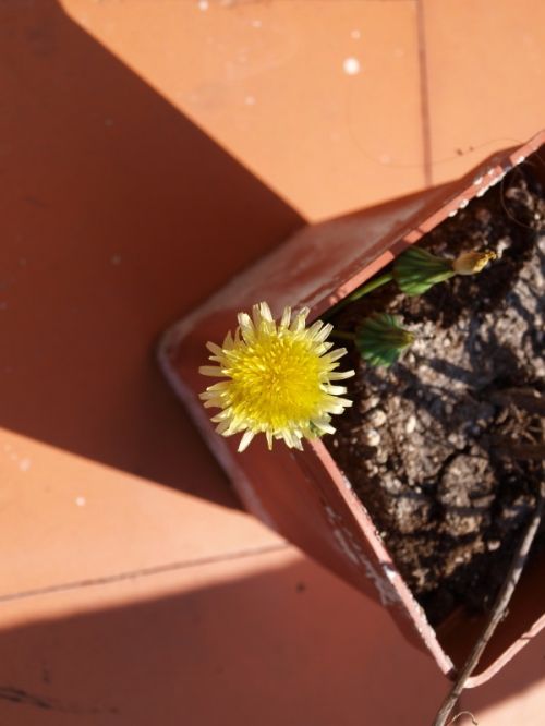 Fotografia de Ral Morales - Galeria Fotografica: Experimentando - Foto: 