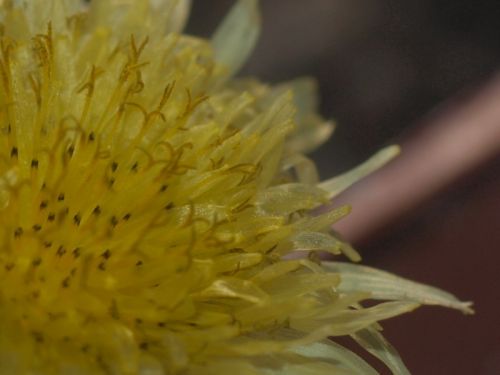 Fotografia de Ral Morales - Galeria Fotografica: Experimentando - Foto: 