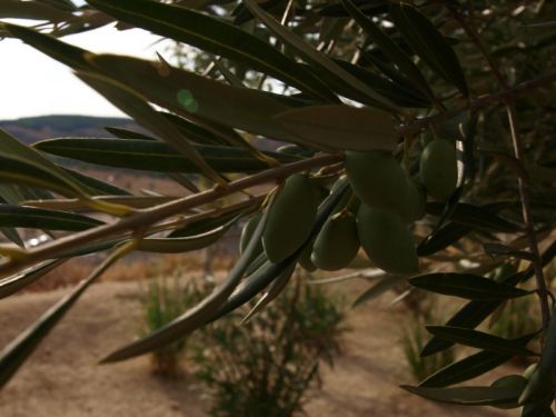 Fotografia de Ral Morales - Galeria Fotografica: Experimentando - Foto: 