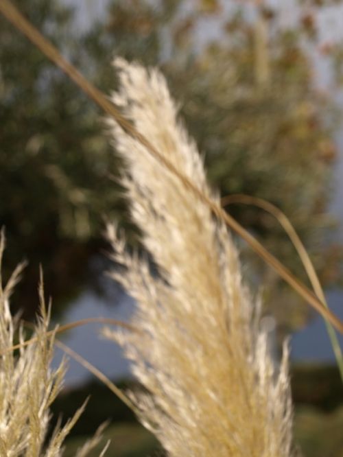 Fotografia de Ral Morales - Galeria Fotografica: Experimentando - Foto: 