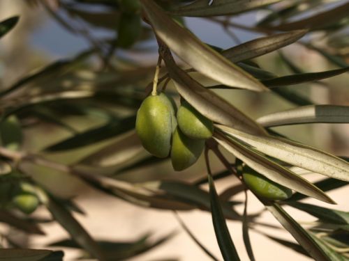 Fotografia de Ral Morales - Galeria Fotografica: Experimentando - Foto: 