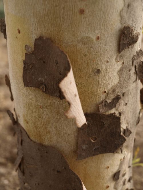 Fotografia de Ral Morales - Galeria Fotografica: Experimentando - Foto: 