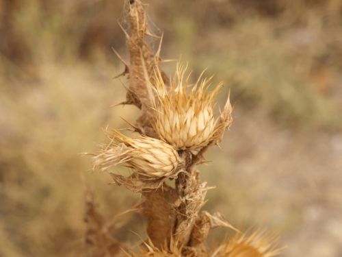 Fotografia de Ral Morales - Galeria Fotografica: Experimentando - Foto: 