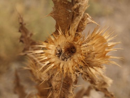 Fotografia de Ral Morales - Galeria Fotografica: Experimentando - Foto: 