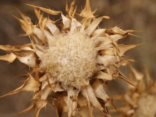 Fotografia de Ral Morales - Galeria Fotografica: Experimentando - Foto: 