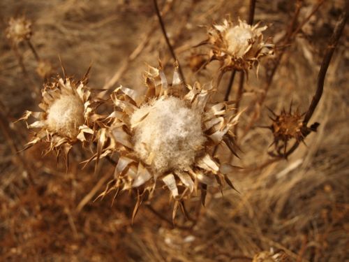 Fotografia de Ral Morales - Galeria Fotografica: Experimentando - Foto: 