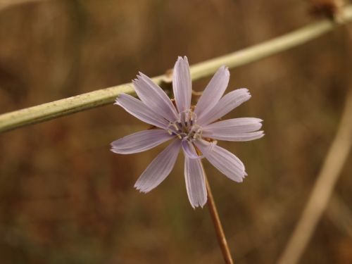 Fotografia de Ral Morales - Galeria Fotografica: Experimentando - Foto: 
