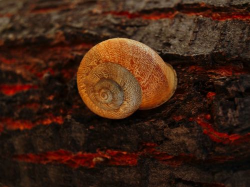 Fotografia de Ral Morales - Galeria Fotografica: Experimentando - Foto: 