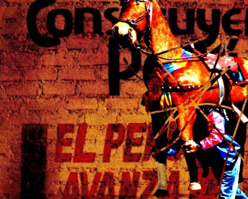 Fotografia de hugo mercado - Galeria Fotografica: amame - Foto: 