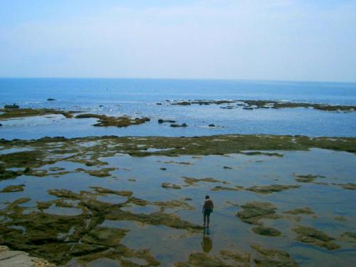 Fotografia de Cerezas - Galeria Fotografica: Ventanas al mar - Foto: C\'est une autre monde