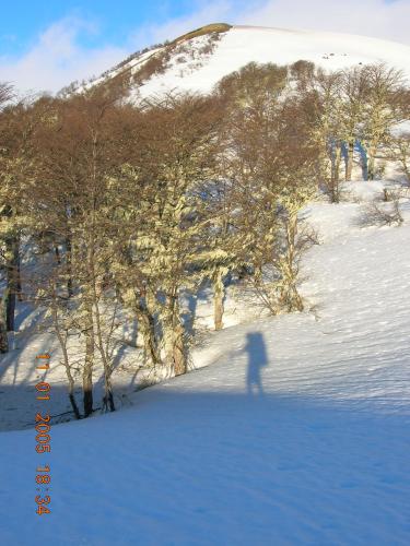 Fotografia de favu - Galeria Fotografica: deportes varios - Foto: mimetizando...