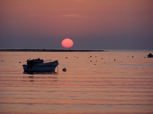 Fotografia de Luis Miguel - Galeria Fotografica: La Caleta, un rincon de Cadiz - Foto: barca solitaria