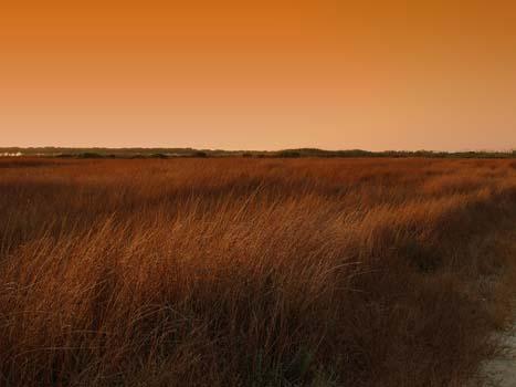 Fotografia de Emanuele Mulas - Galeria Fotografica: Viaggi / travels /Viajes - Foto: Campo en Cerdea