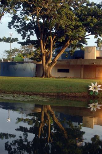 Fotografia de jimenez produciones. - Galeria Fotografica: Momentos. - Foto: 	Atardecer							