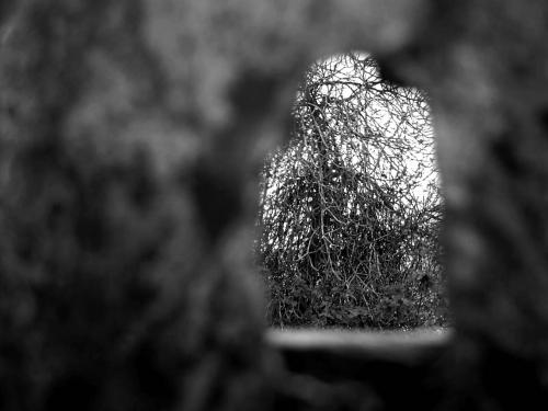 Fotografia de Katze - Galeria Fotografica: Oblivion - Foto: 								