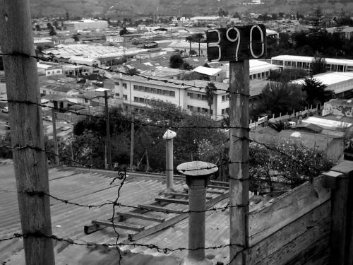 Fotografia de Katze - Galeria Fotografica: Oblivion - Foto: 								