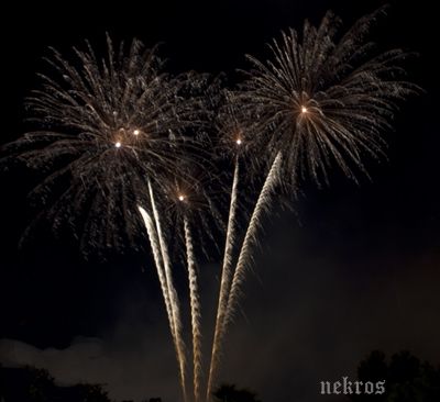 Fotografia de Nekros - Galeria Fotografica: Fuego Nocturno - Foto: 