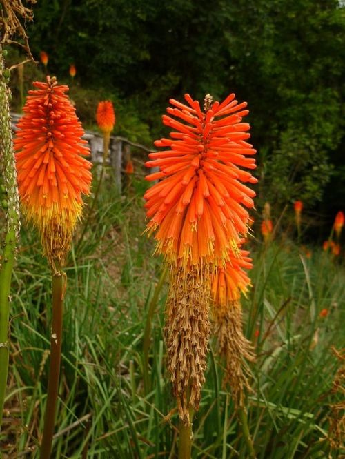 Fotografia de Ronny B - Galeria Fotografica: So Far - Foto: 