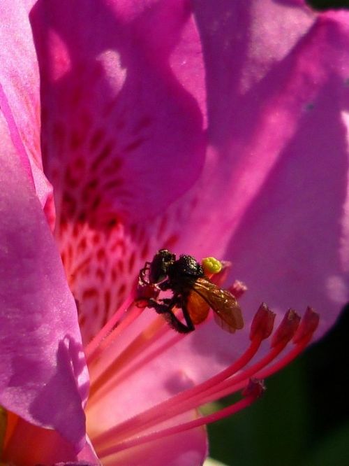 Fotografia de Ronny B - Galeria Fotografica: So Far - Foto: 