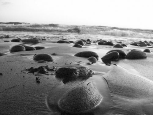 Fotografia de Ronny B - Galeria Fotografica: So Far - Foto: 