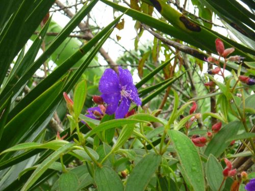 Fotografia de Ronny B - Galeria Fotografica: So Far - Foto: 