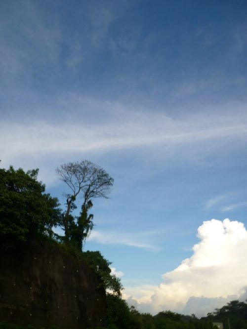 Fotografia de Ronny B - Galeria Fotografica: So Far - Foto: 