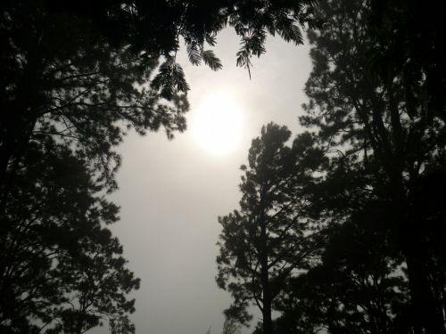 Fotografia de Ronny B - Galeria Fotografica: So Far - Foto: 