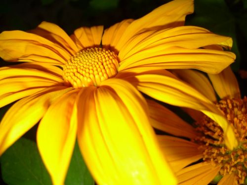 Fotografia de Ronny B - Galeria Fotografica: So Far - Foto: 